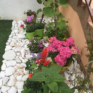 Apartament Ljiljana, Trogir